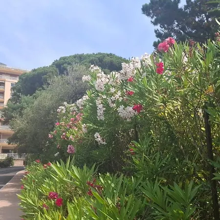 Le Parc Imperial * アジャクシオ